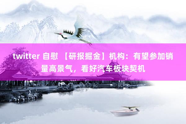 twitter 自慰 【研报掘金】机构：有望参加销量高景气，看好汽车板块契机