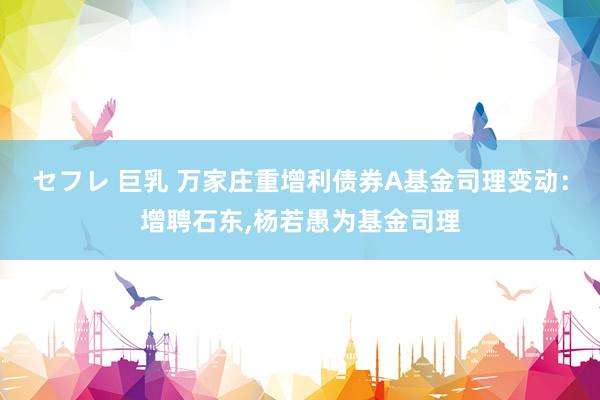 セフレ 巨乳 万家庄重增利债券A基金司理变动：增聘石东,杨若愚为基金司理