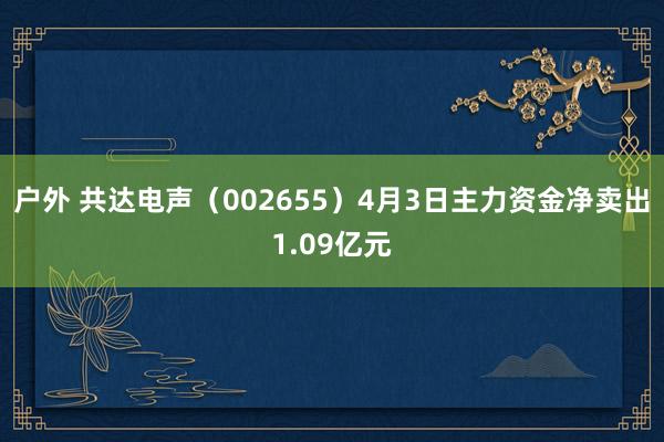 户外 共达电声（002655）4月3日主力资金净卖出1.09亿元