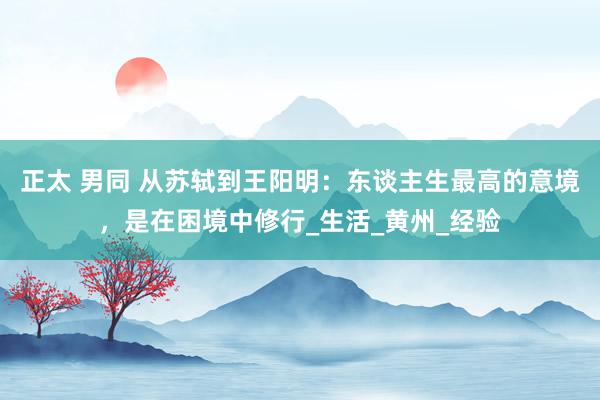 正太 男同 从苏轼到王阳明：东谈主生最高的意境，是在困境中修行_生活_黄州_经验