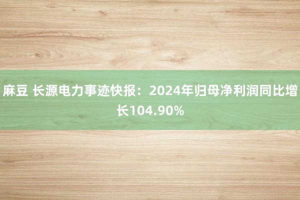 麻豆 长源电力事迹快报：2024年归母净利润同比增长104.90%