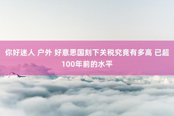 你好迷人 户外 好意思国刻下关税究竟有多高 已超100年前的水平