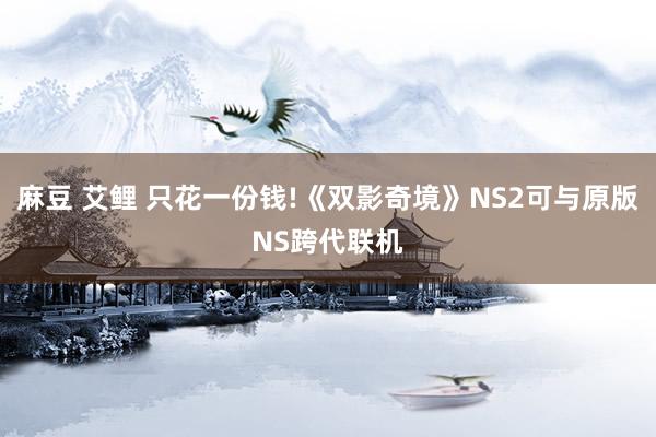 麻豆 艾鲤 只花一份钱!《双影奇境》NS2可与原版NS跨代联机