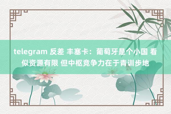 telegram 反差 丰塞卡：葡萄牙是个小国 看似资源有限 但中枢竞争力在于青训步地