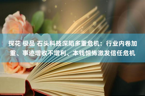 探花 极品 石头科技深陷多重危机：行业内卷加重、事迹增收不增利、本钱惊怖激发信任危机