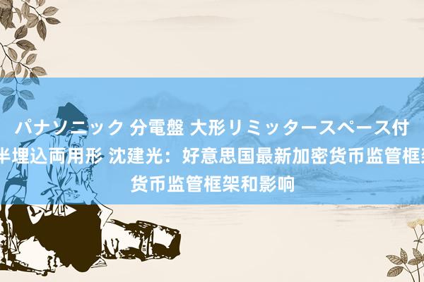 パナソニック 分電盤 大形リミッタースペース付 露出・半埋込両用形 沈建光：好意思国最新加密货币监管框架和影响