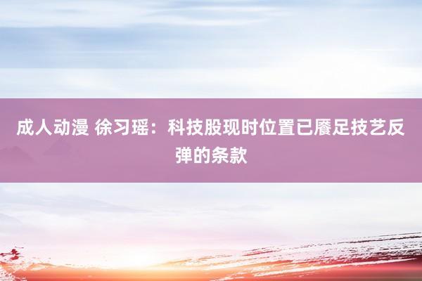 成人动漫 徐习瑶：科技股现时位置已餍足技艺反弹的条款