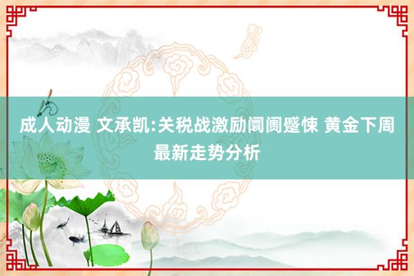 成人动漫 文承凯:关税战激励阛阓蹙悚 黄金下周最新走势分析
