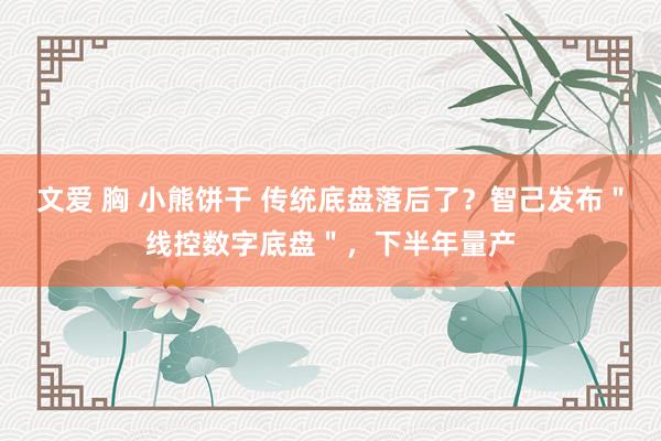 文爱 胸 小熊饼干 传统底盘落后了？智己发布＂线控数字底盘＂，下半年量产