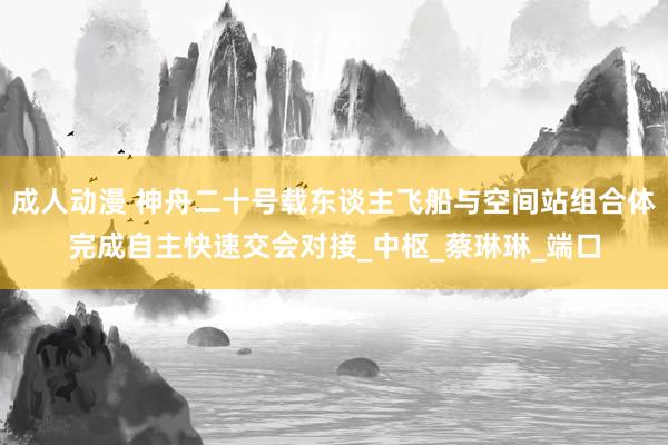 成人动漫 神舟二十号载东谈主飞船与空间站组合体完成自主快速交会对接_中枢_蔡琳琳_端口