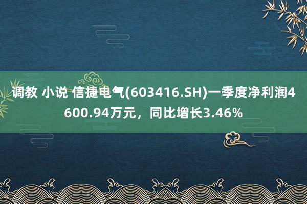 调教 小说 信捷电气(603416.SH)一季度净利润4600.94万元，同比增长3.46%