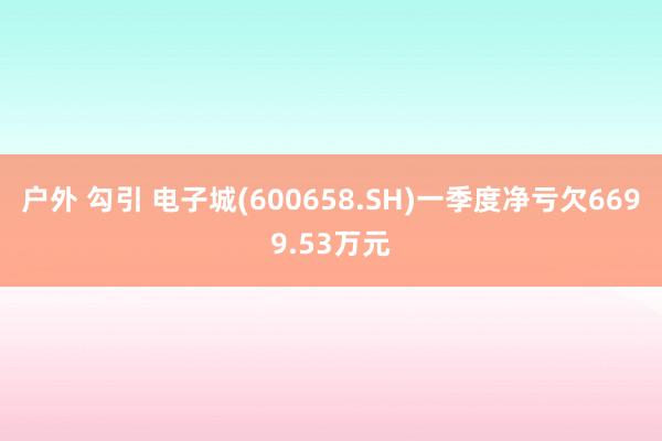 户外 勾引 电子城(600658.SH)一季度净亏欠6699.53万元