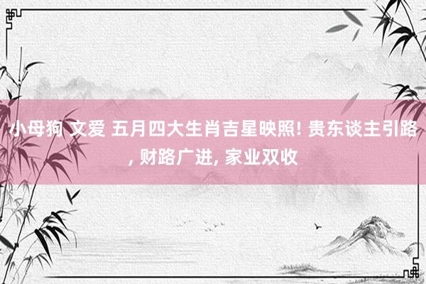 小母狗 文爱 五月四大生肖吉星映照! 贵东谈主引路, 财路广进, 家业双收